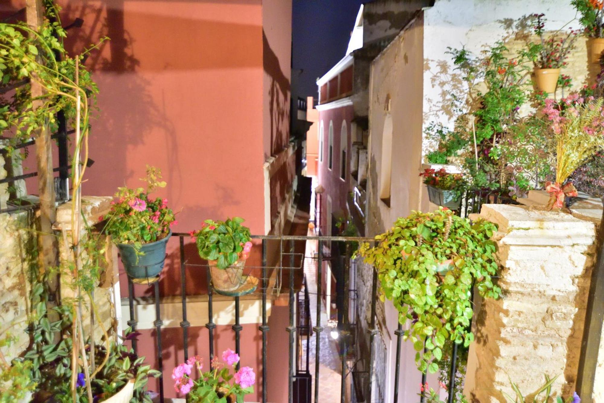 Casa Tenorio Barrio De Santa Cruz Seville Ngoại thất bức ảnh